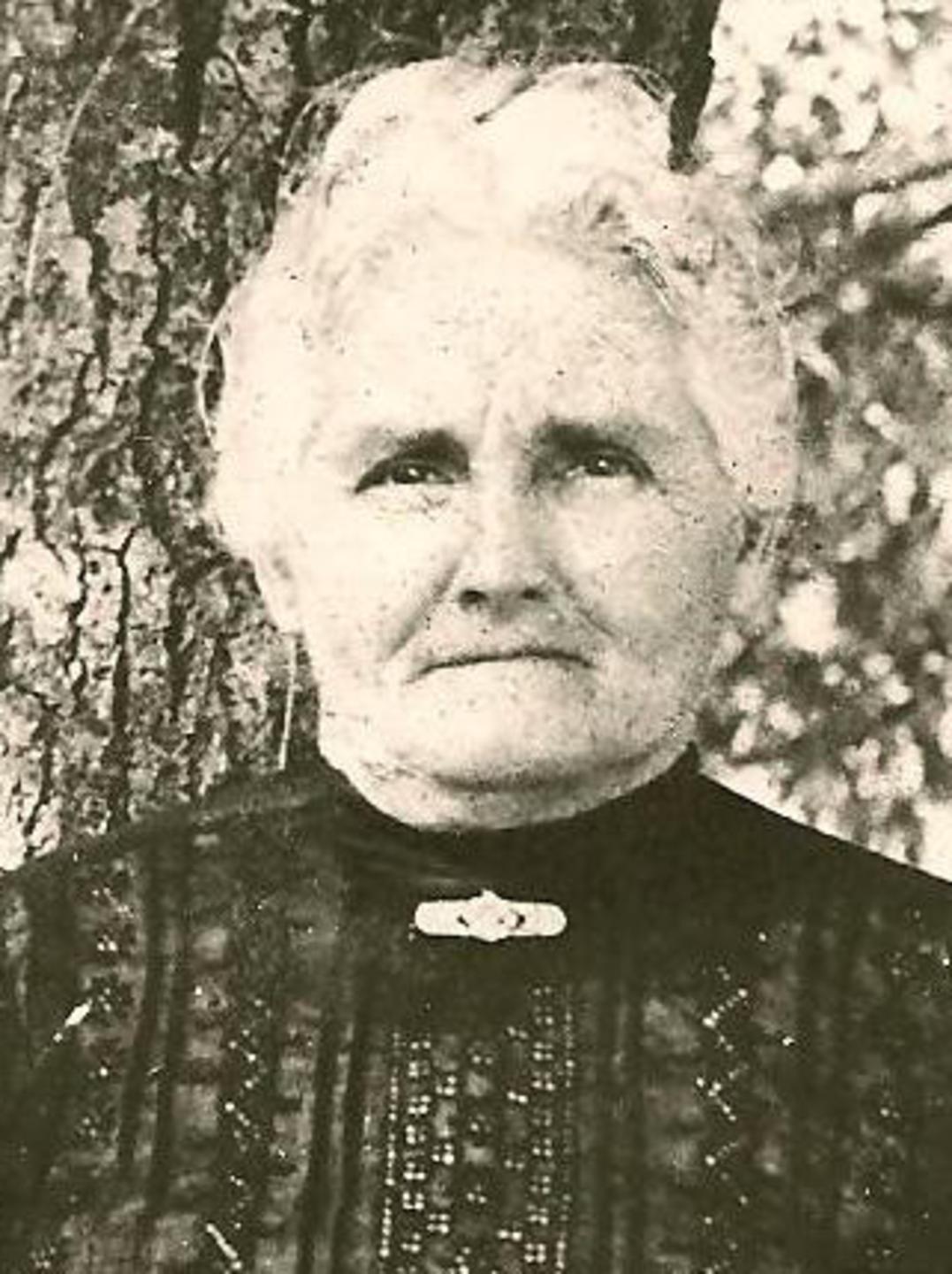 Emeline Sulser (1856 - 1930) Profile